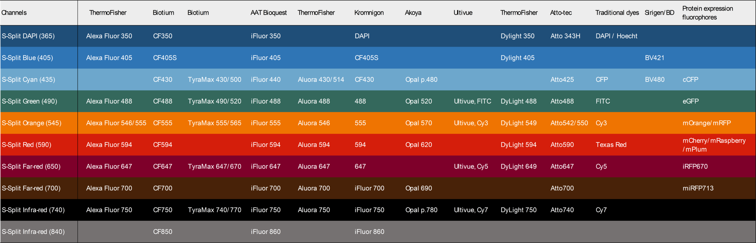 Common fluorophores compatible with SpectraSplit 10